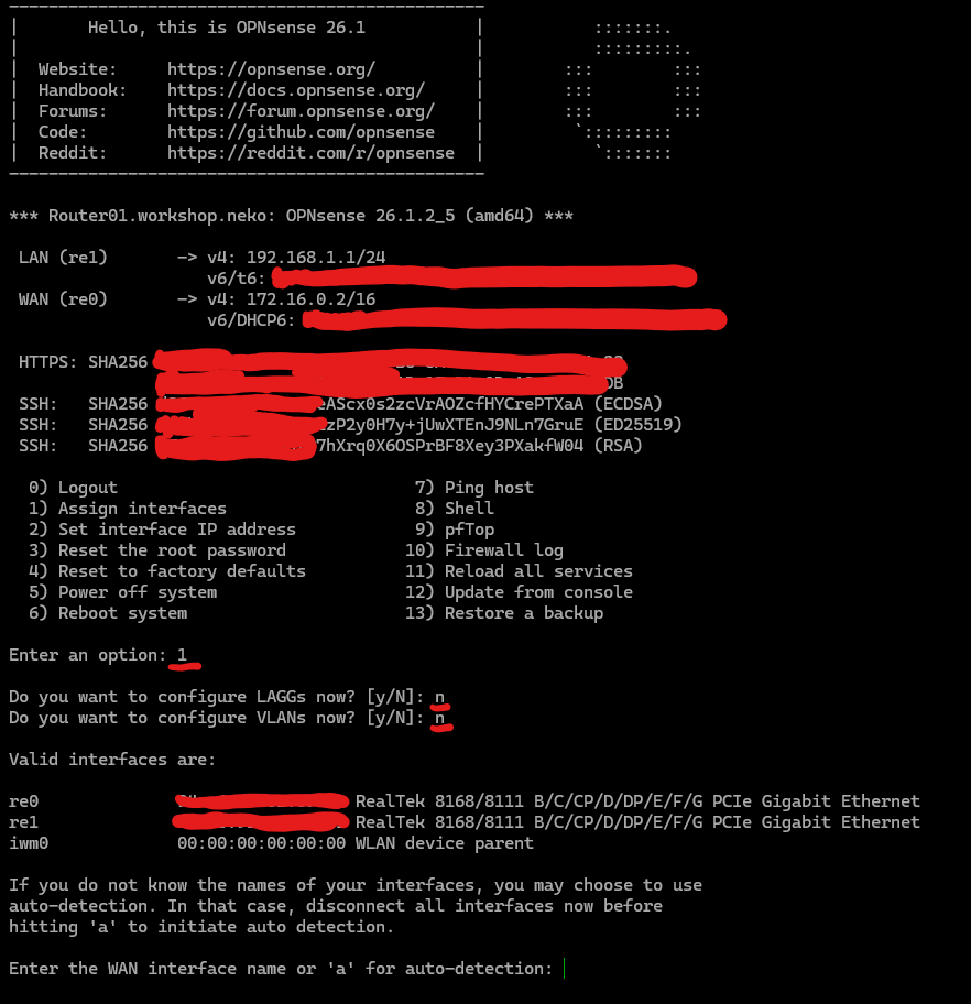 OPNSense interface assignment